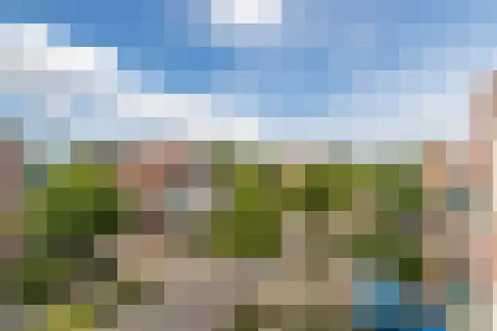 Rietven 10 Veghel thumbnail 30