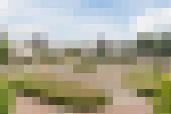 Rietven 10 Veghel thumbnail 31