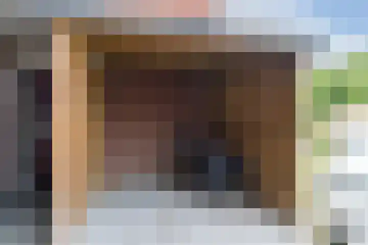 Rietven 10 Veghel thumbnail 33