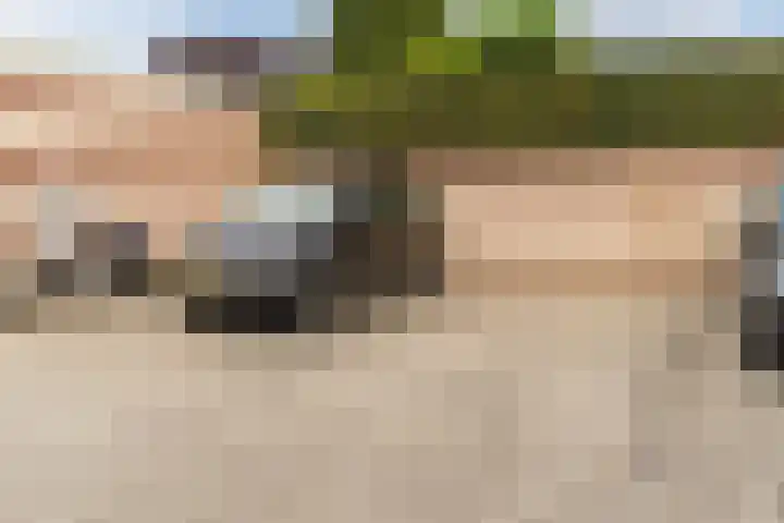 Rietven 10 Veghel thumbnail 34