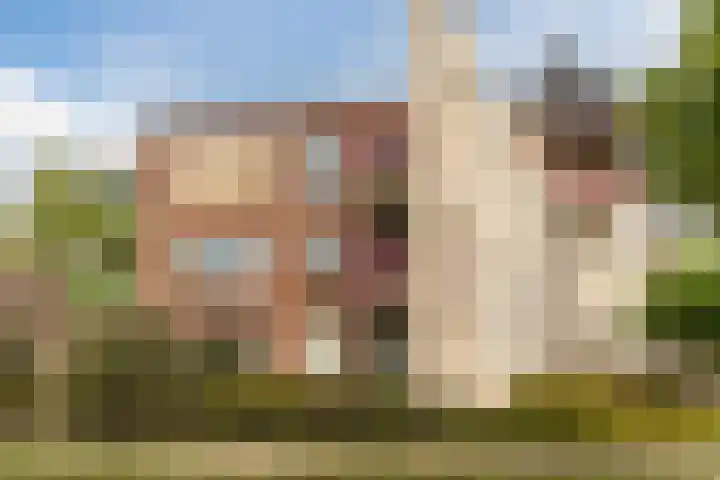 Rietven 10 Veghel thumbnail 4