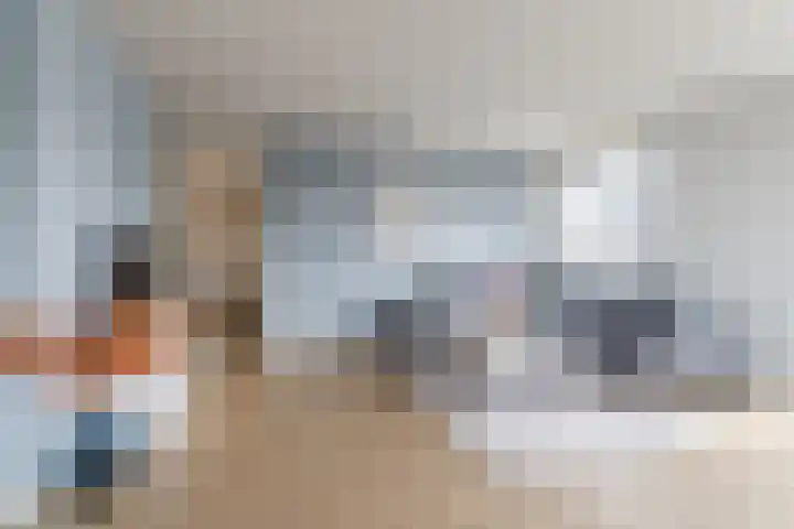 Rietven 10 Veghel thumbnail 7
