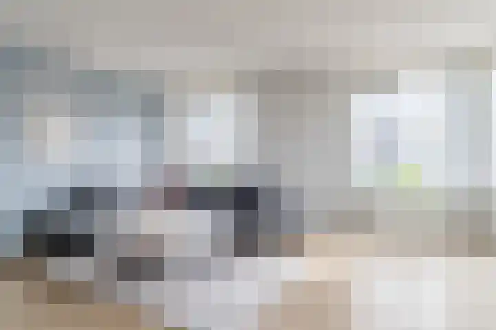 Rietven 10 Veghel thumbnail 8