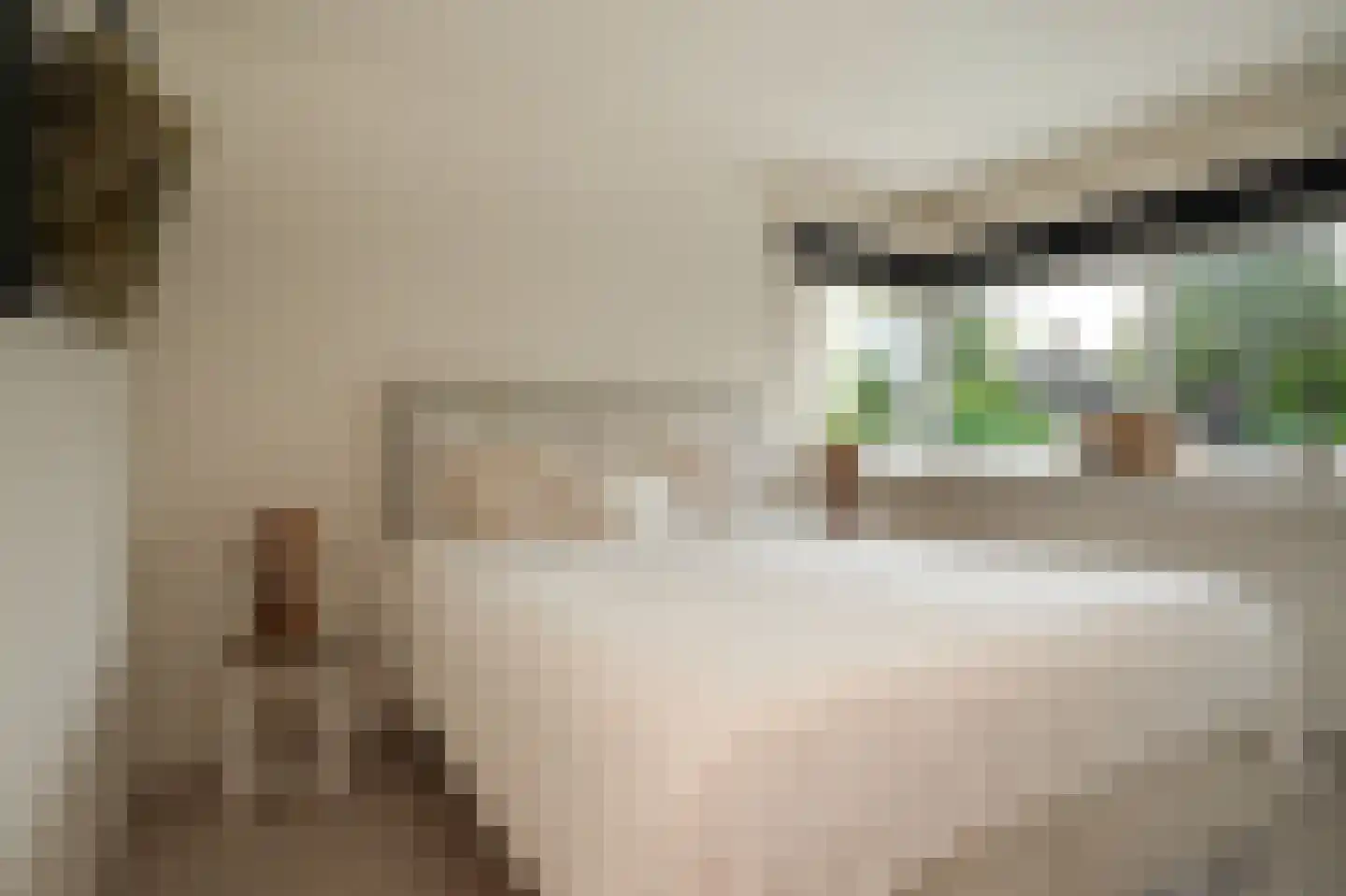 Rietven 103 Veghel thumbnail 25