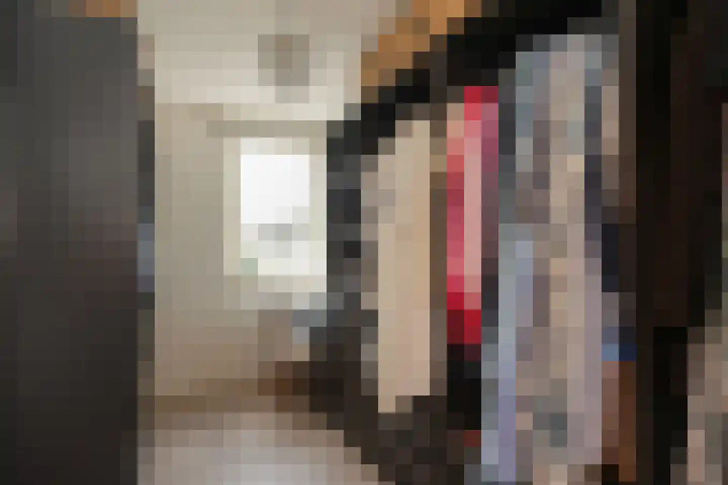 Rietven 103 Veghel thumbnail 27