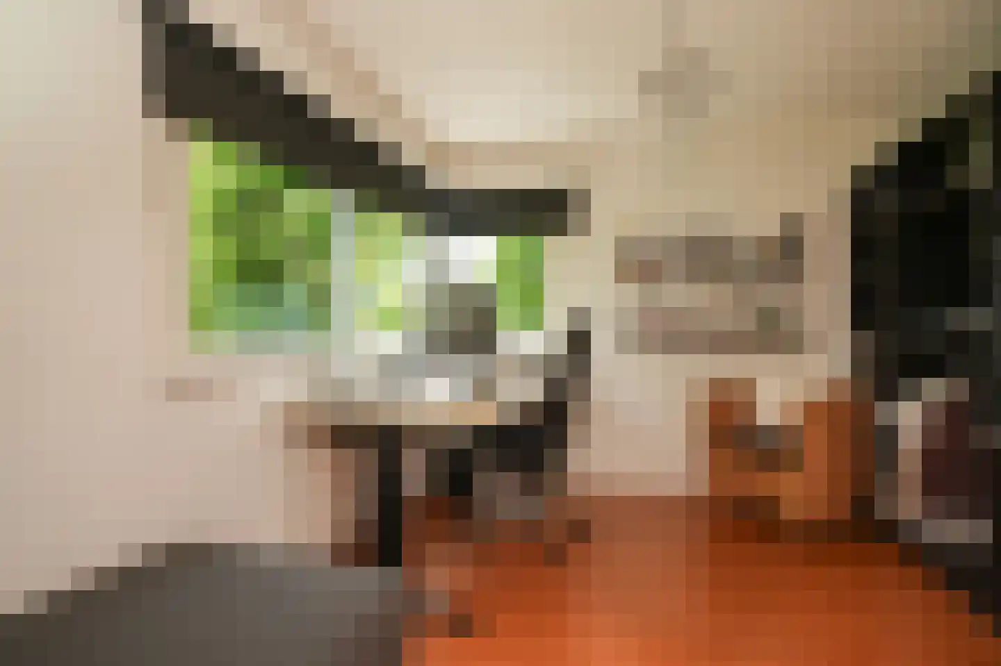 Rietven 103 Veghel thumbnail 31