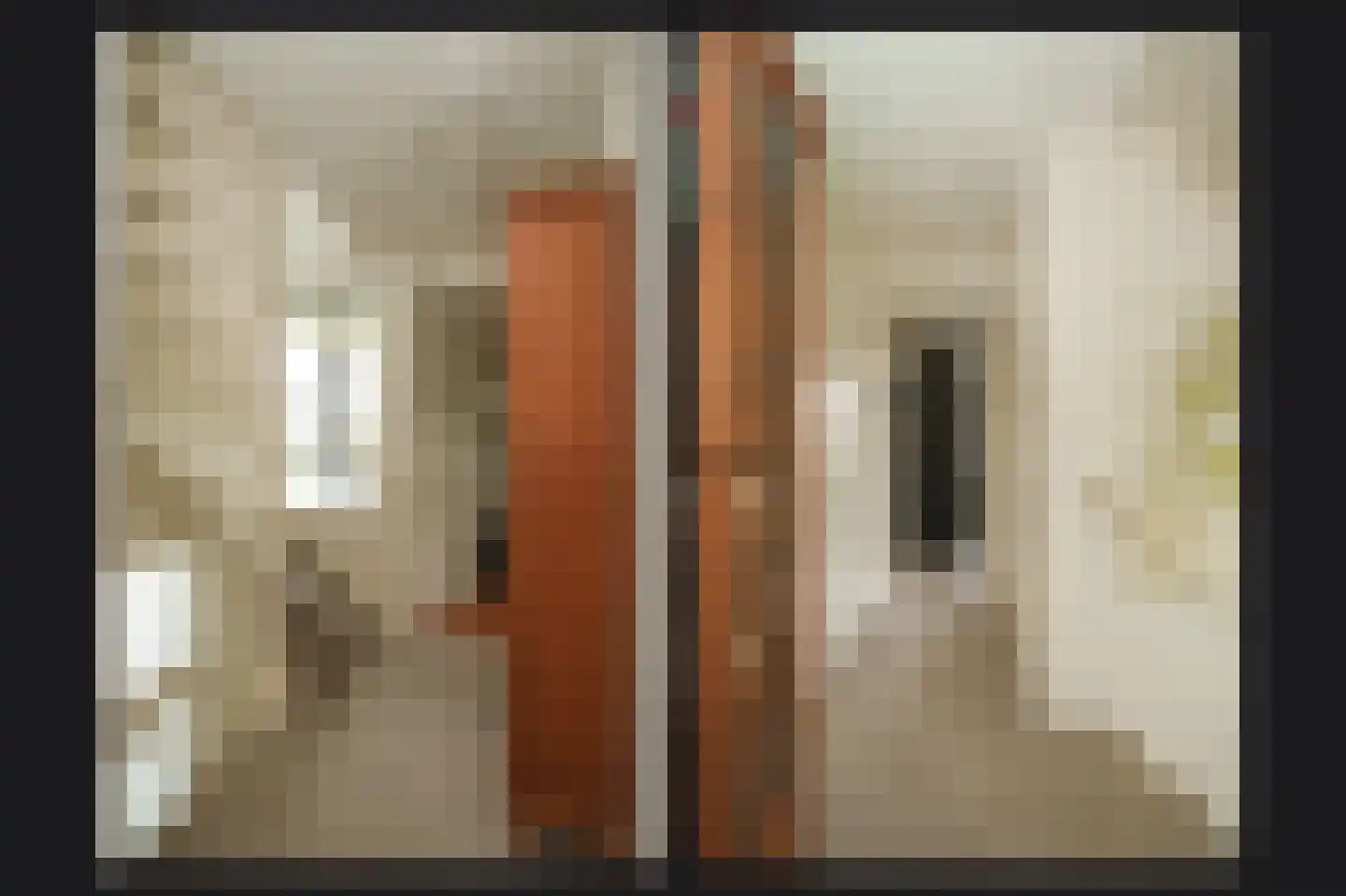 Rietven 103 Veghel thumbnail 33