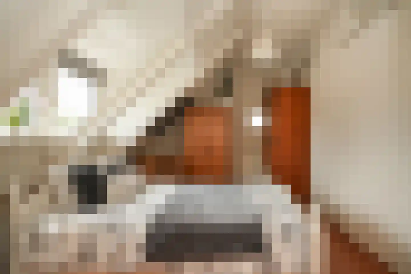 Rietven 103 Veghel thumbnail 34