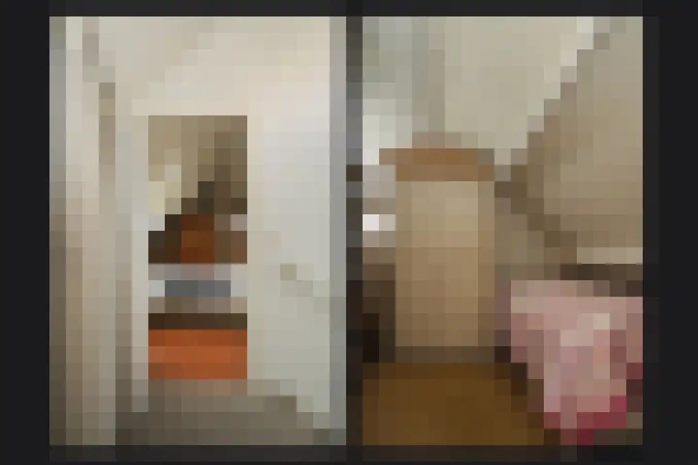 Rietven 103 Veghel thumbnail 35