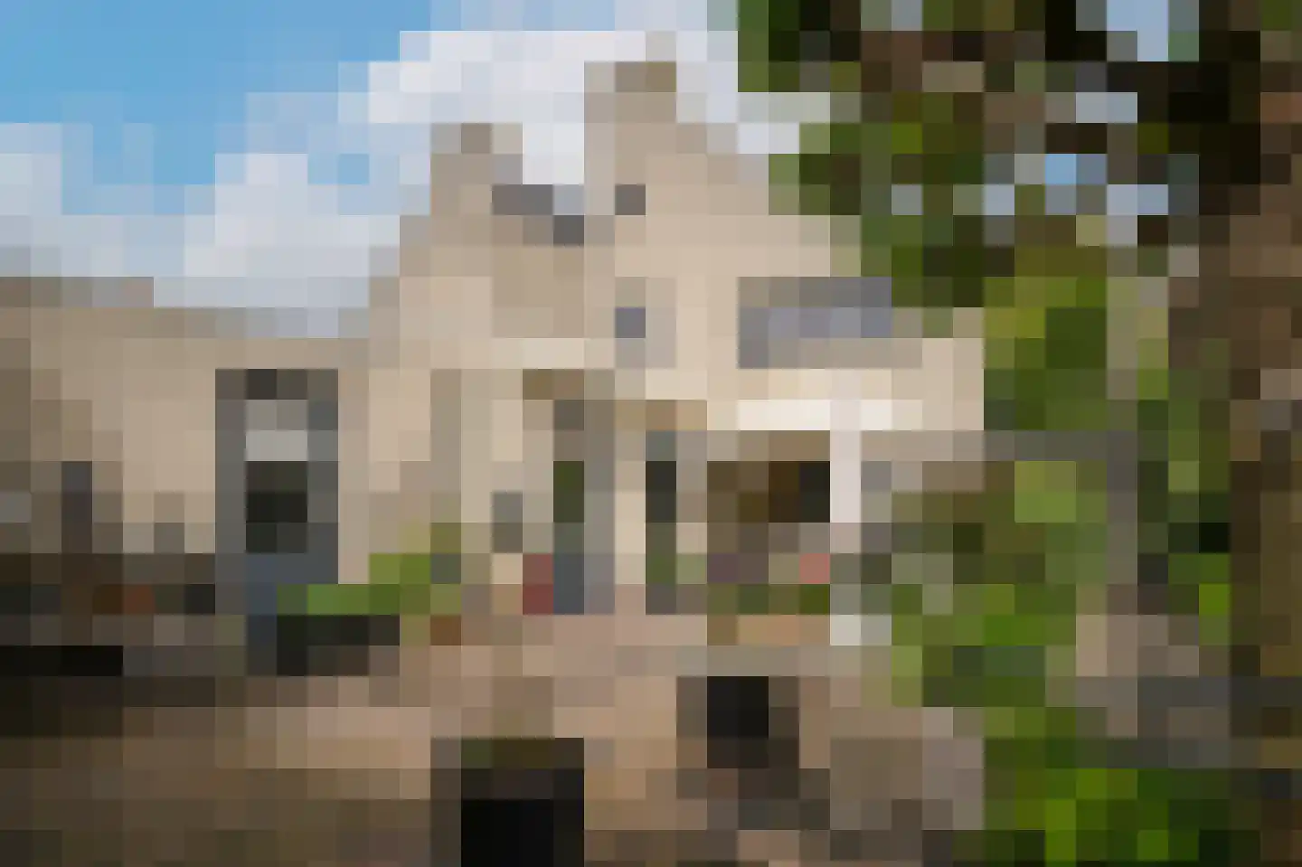 Rietven 103 Veghel thumbnail 36