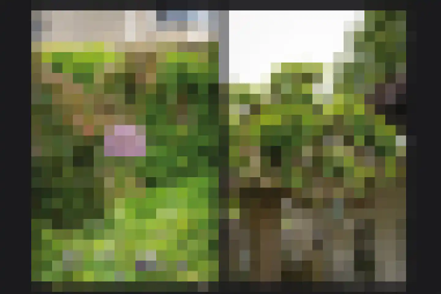 Rietven 103 Veghel thumbnail 39