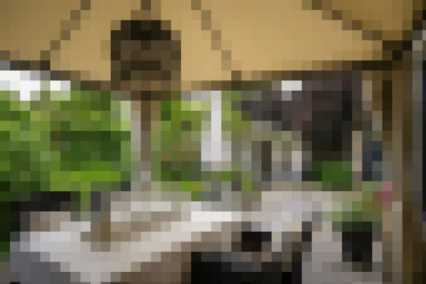 Rietven 103 Veghel thumbnail 4