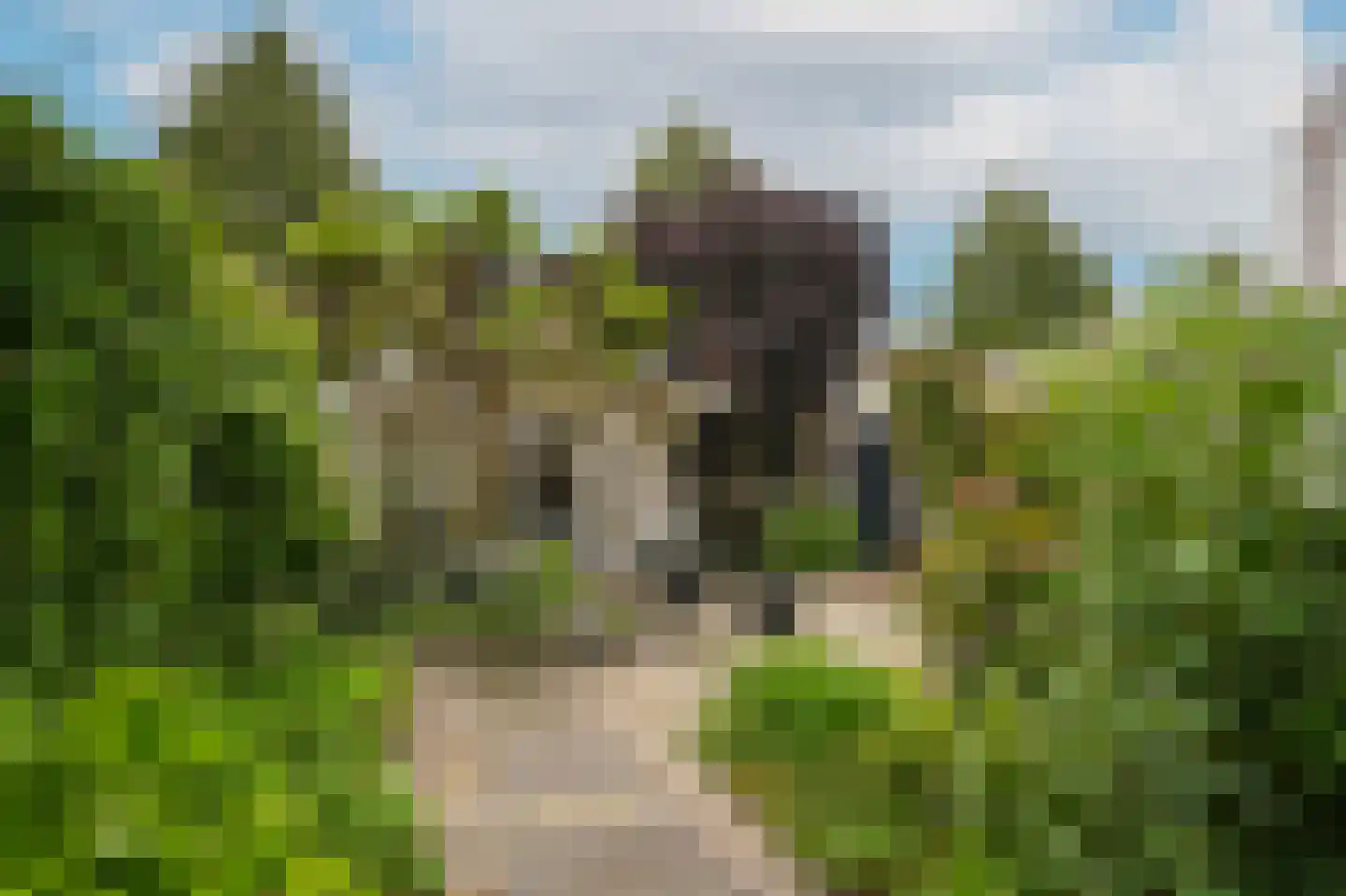 Rietven 103 Veghel thumbnail 40