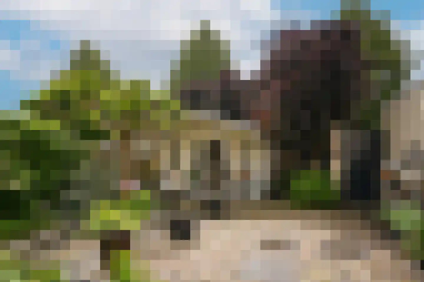 Rietven 103 Veghel thumbnail 41