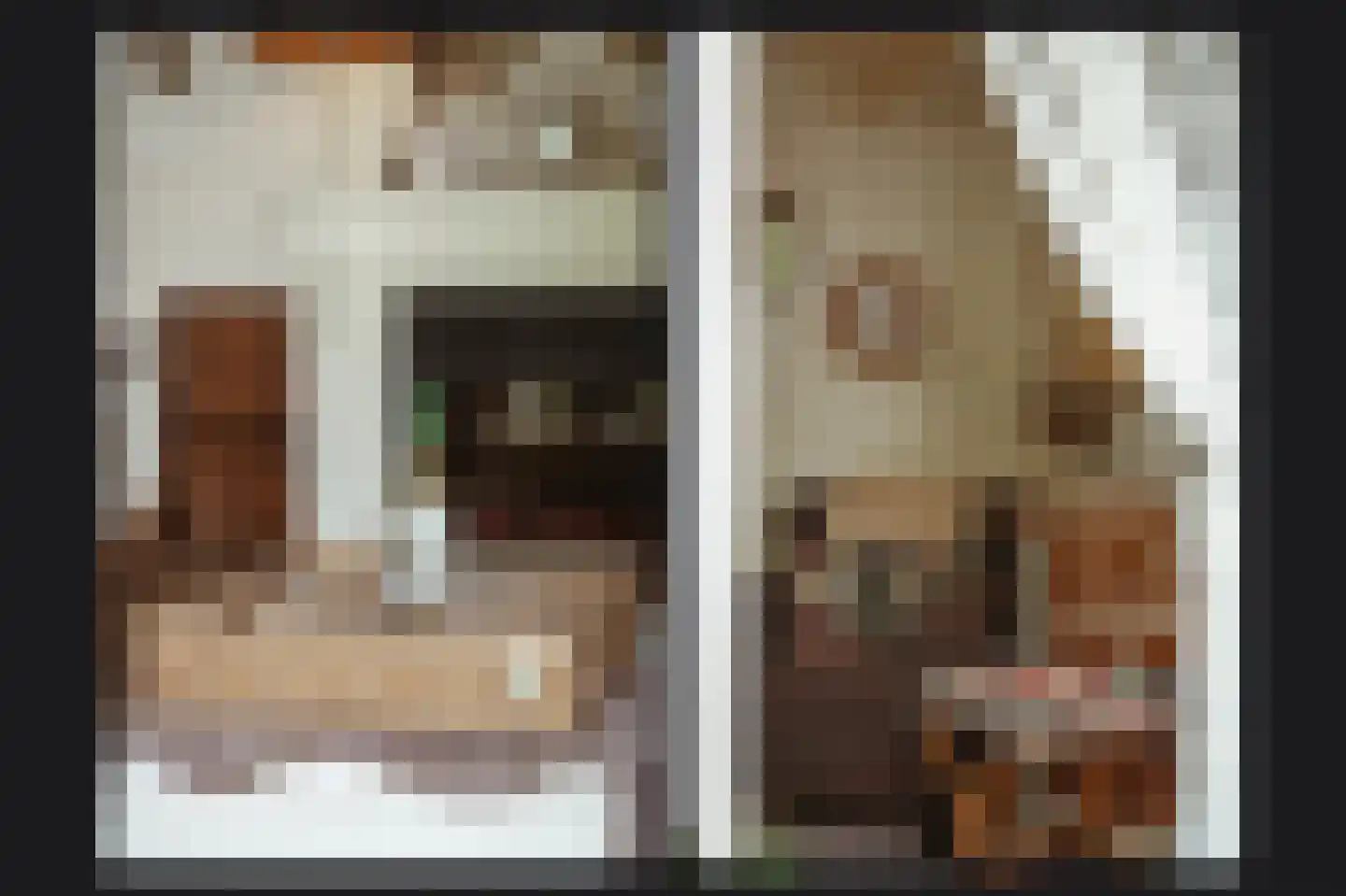 Rietven 103 Veghel thumbnail 43