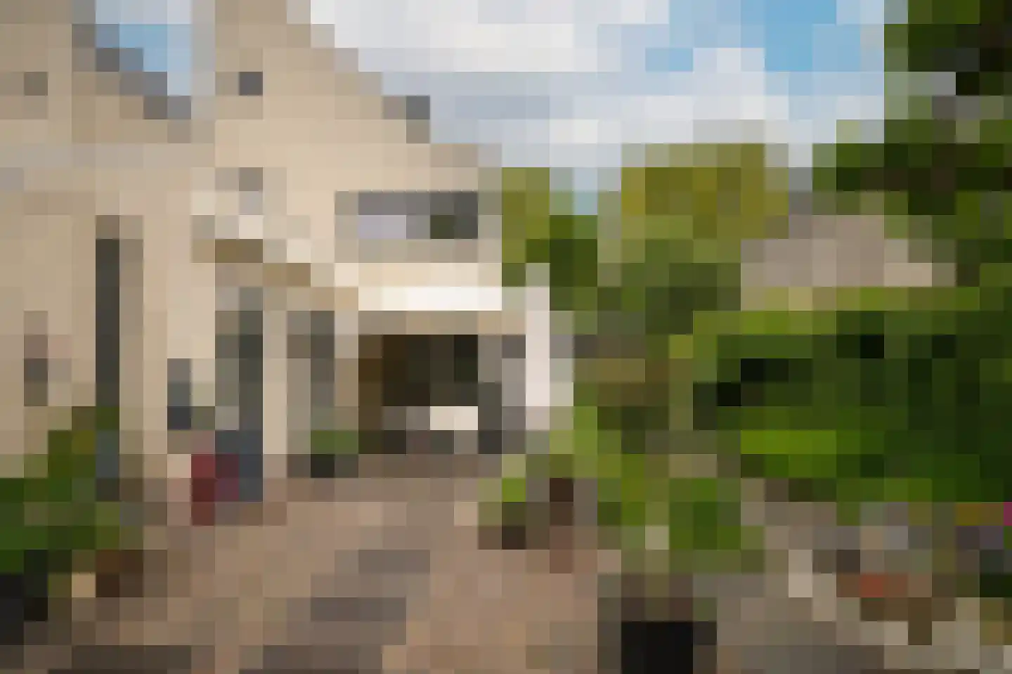 Rietven 103 Veghel thumbnail 44