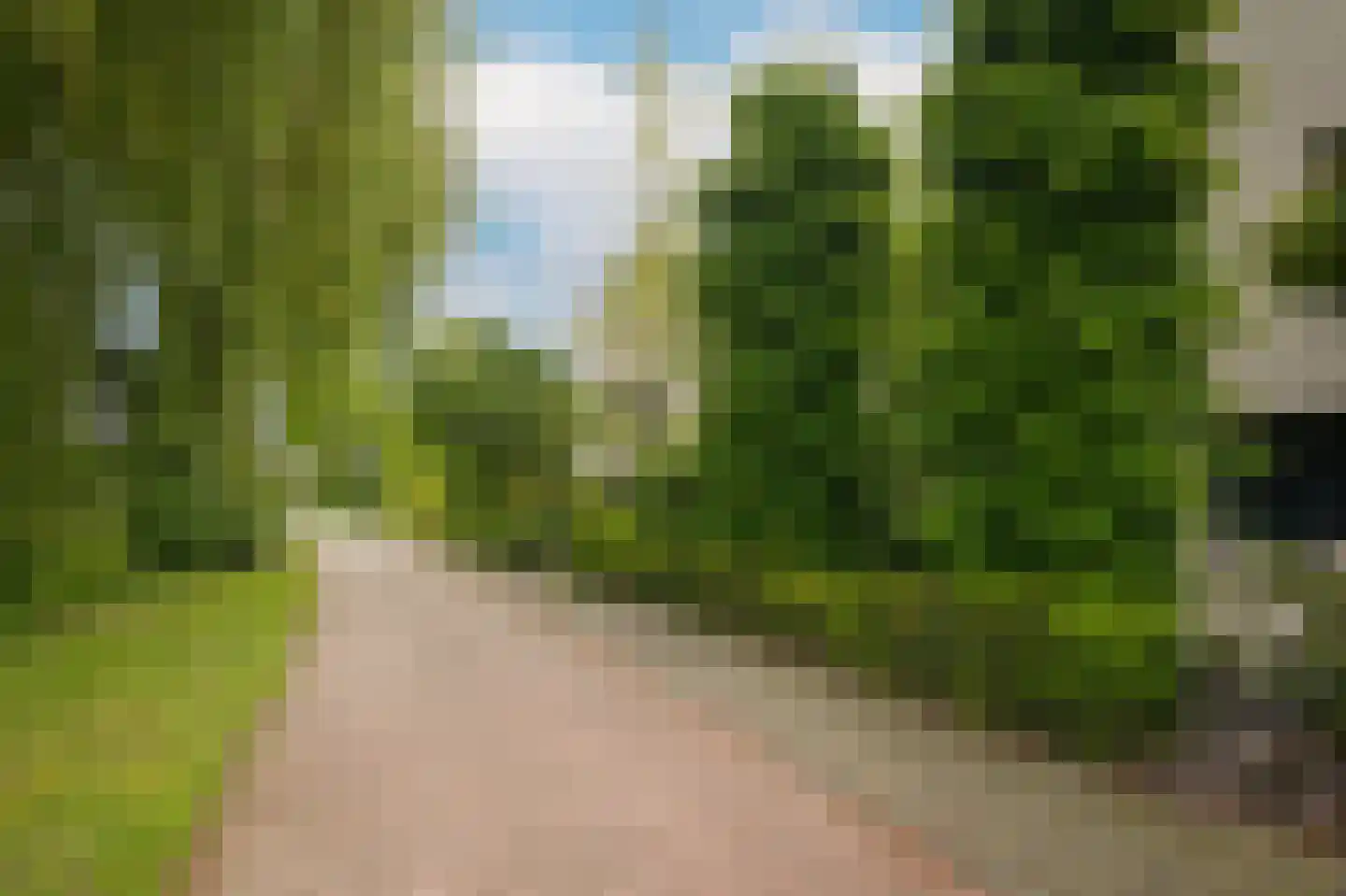 Rietven 103 Veghel thumbnail 46