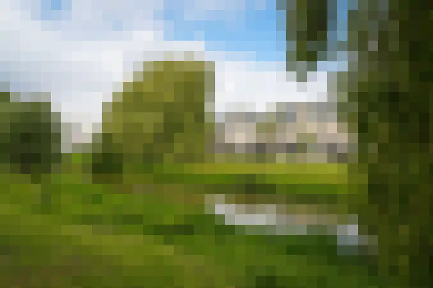 Rietven 103 Veghel thumbnail 48