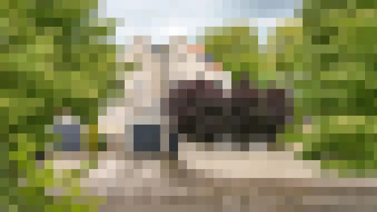 Rietven 103 Veghel thumbnail 49