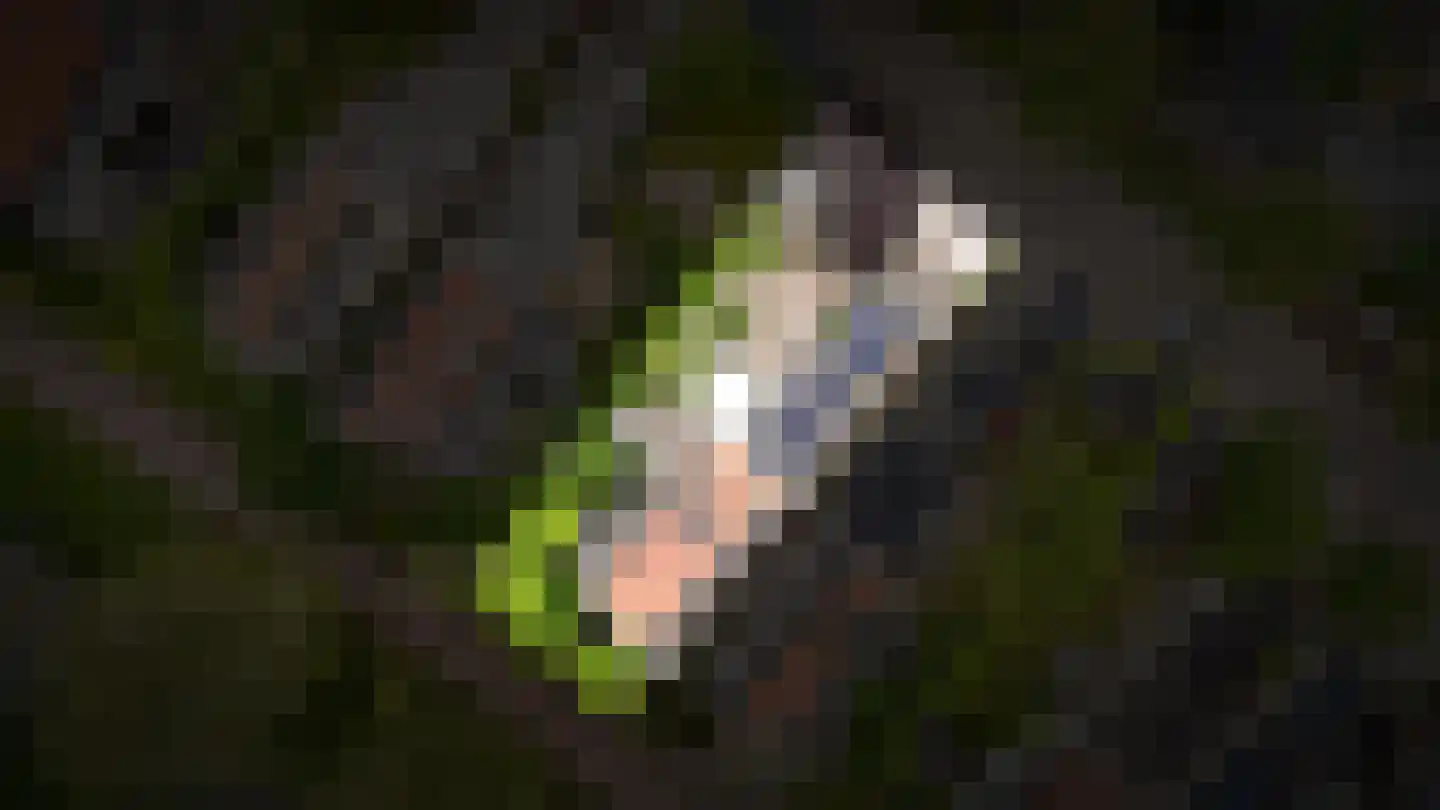 Rietven 103 Veghel thumbnail 5