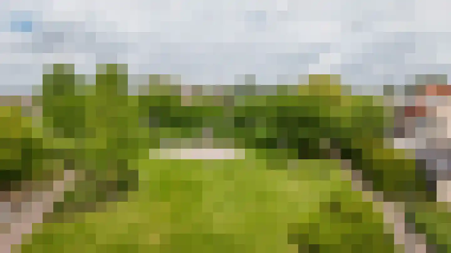 Rietven 103 Veghel thumbnail 52