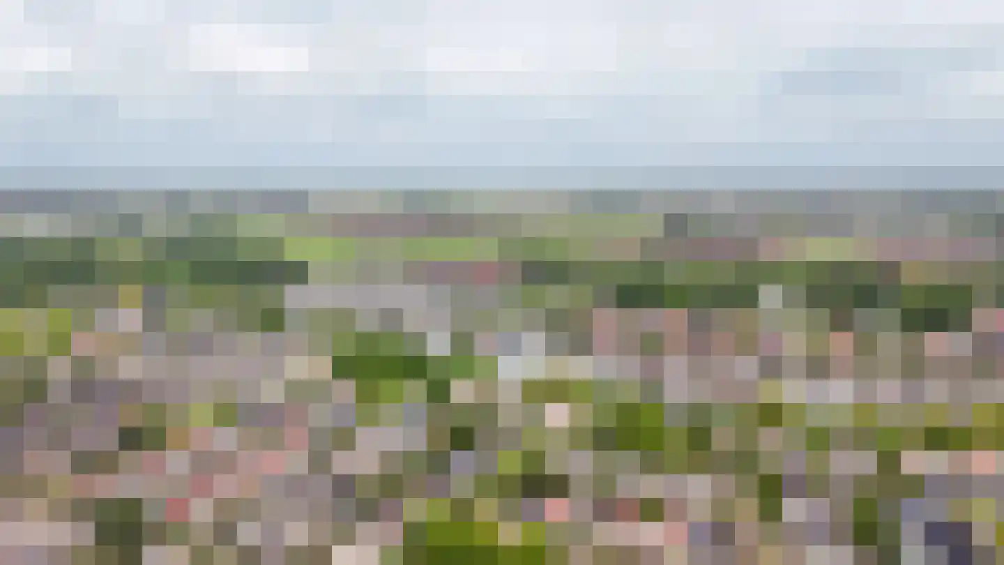Rietven 103 Veghel thumbnail 53