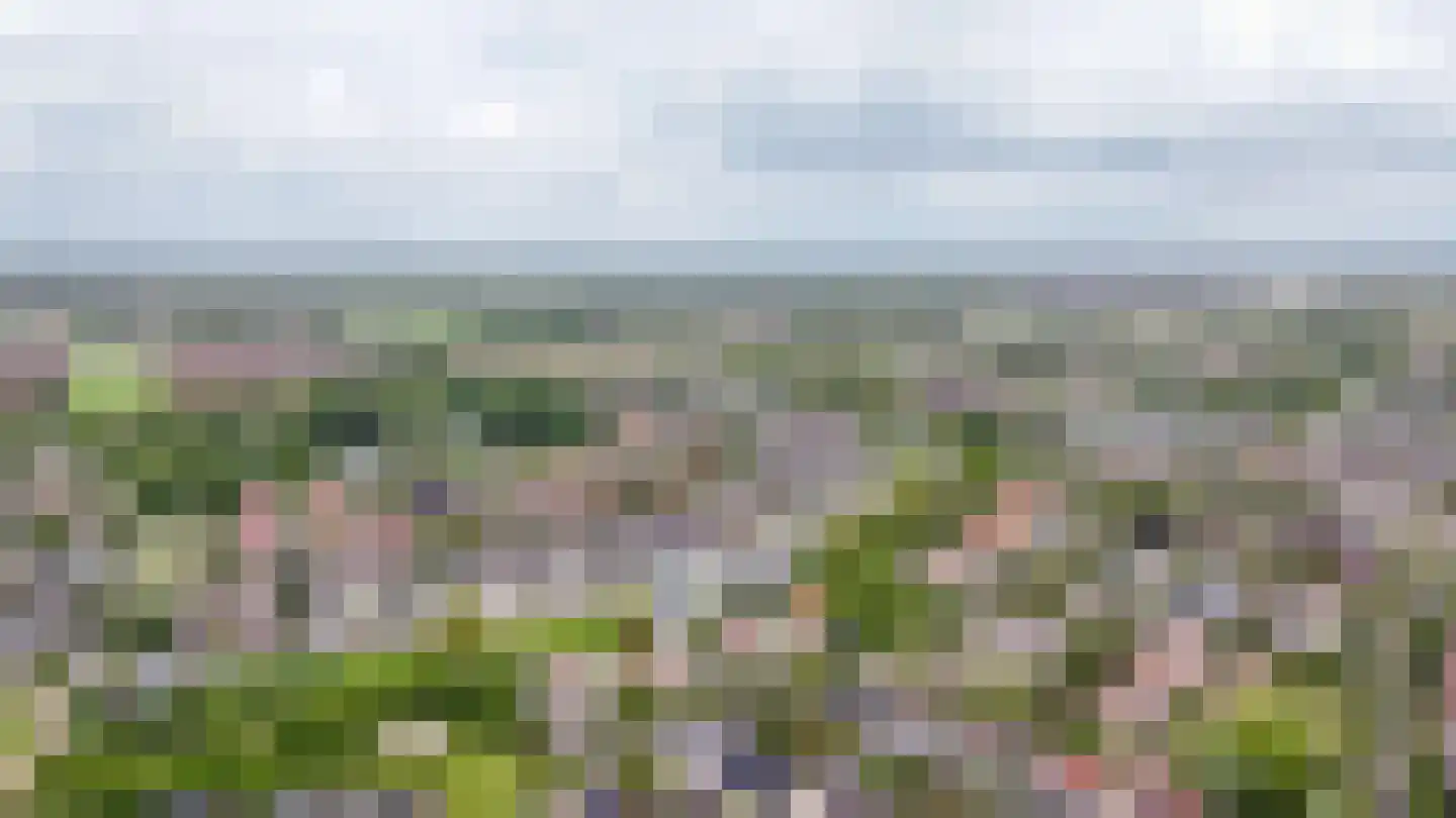Rietven 103 Veghel thumbnail 54