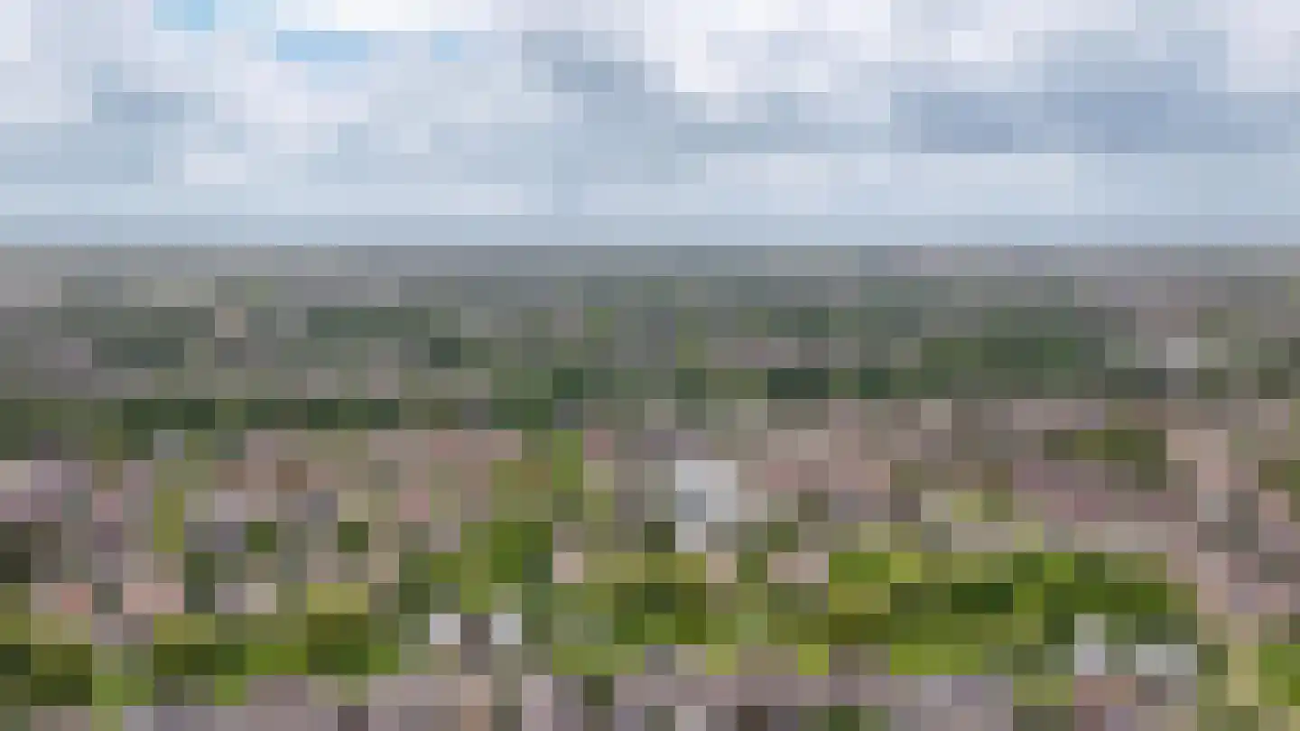 Rietven 103 Veghel thumbnail 55