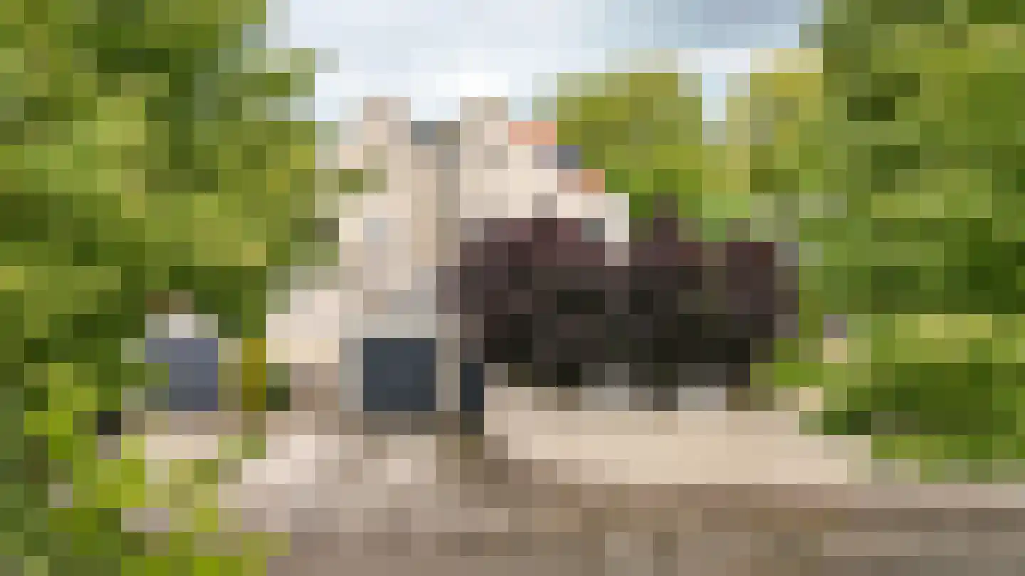 Rietven 103 Veghel thumbnail 6