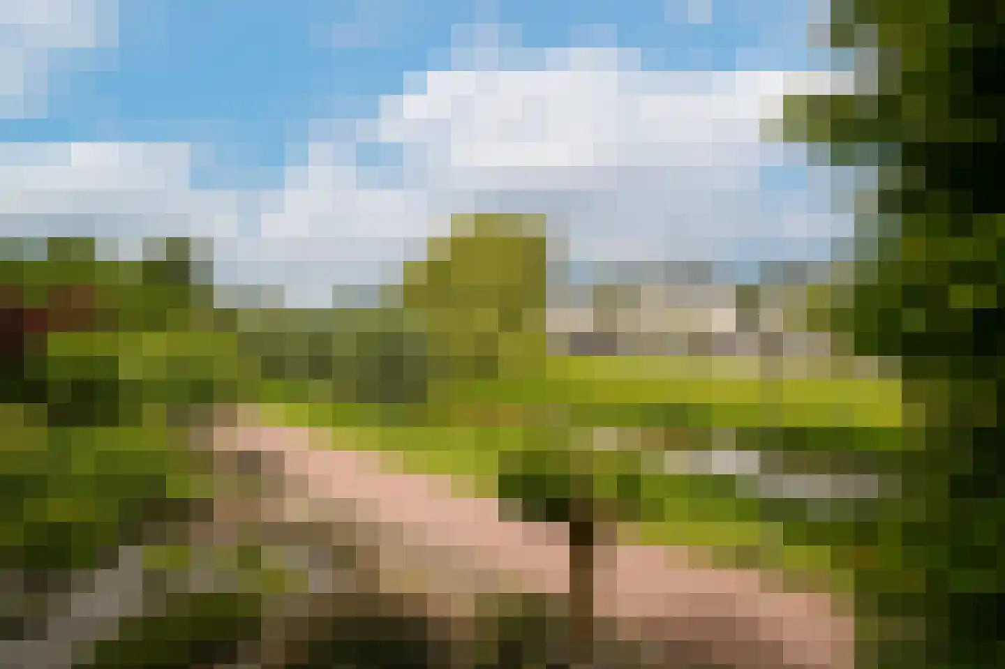 Rietven 103 Veghel thumbnail 7