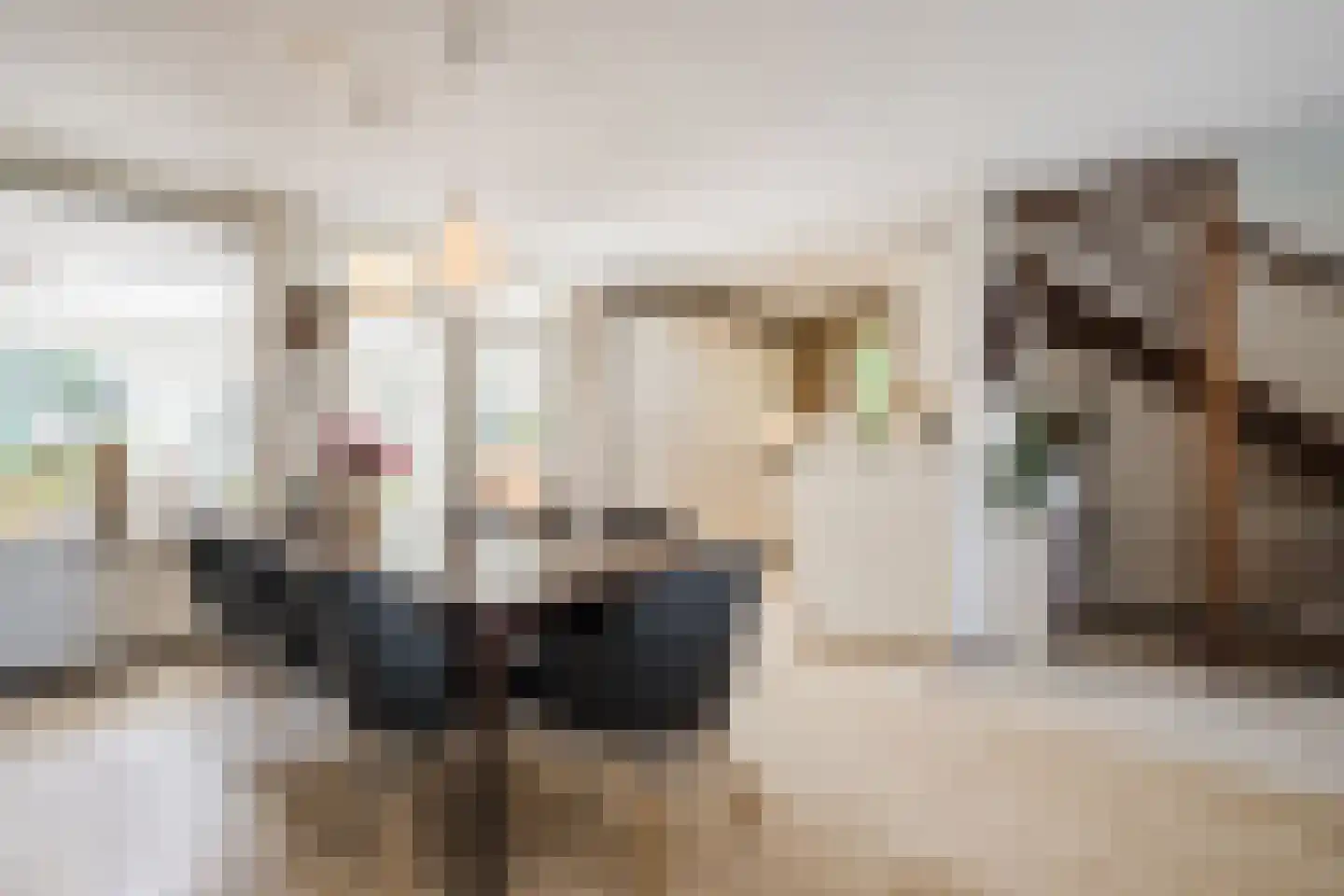 Rietven 16 Veghel thumbnail 21