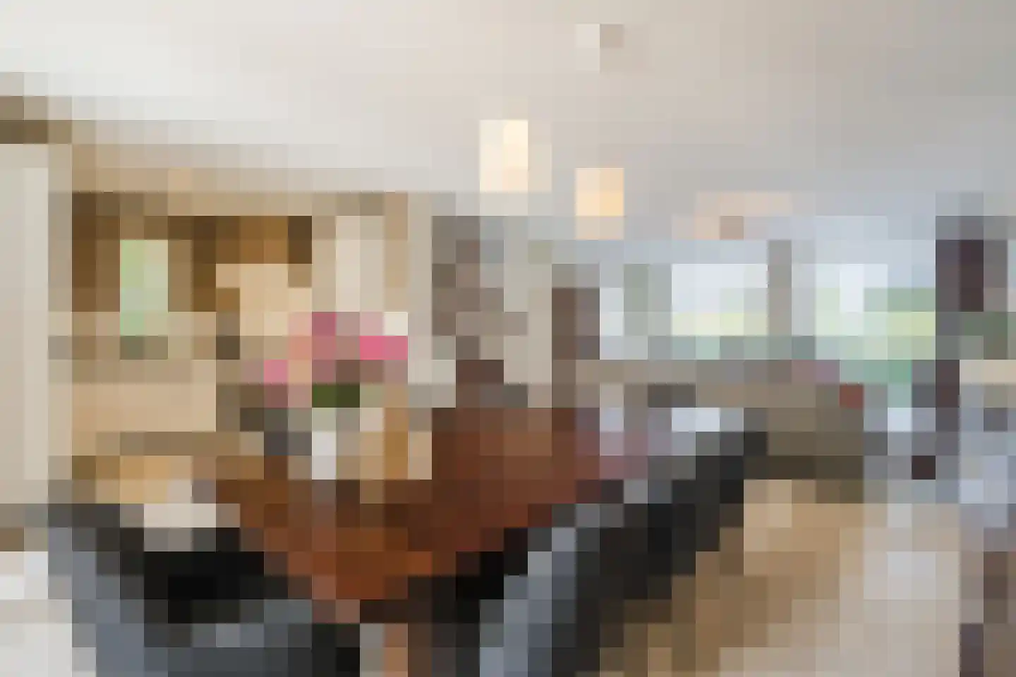Rietven 16 Veghel thumbnail 23