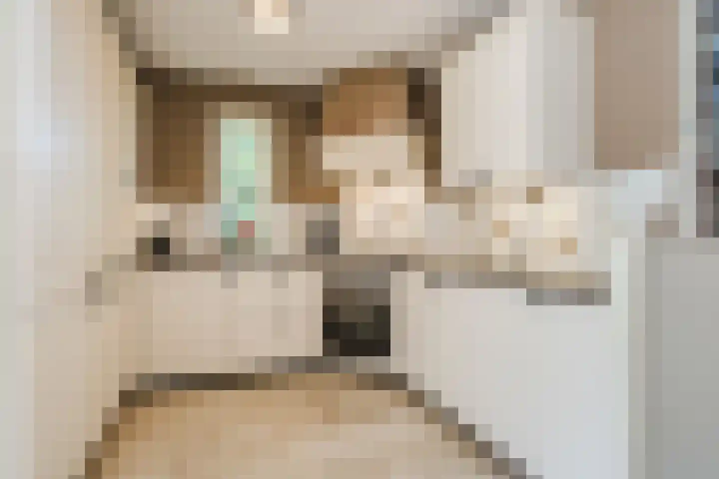 Rietven 16 Veghel thumbnail 25