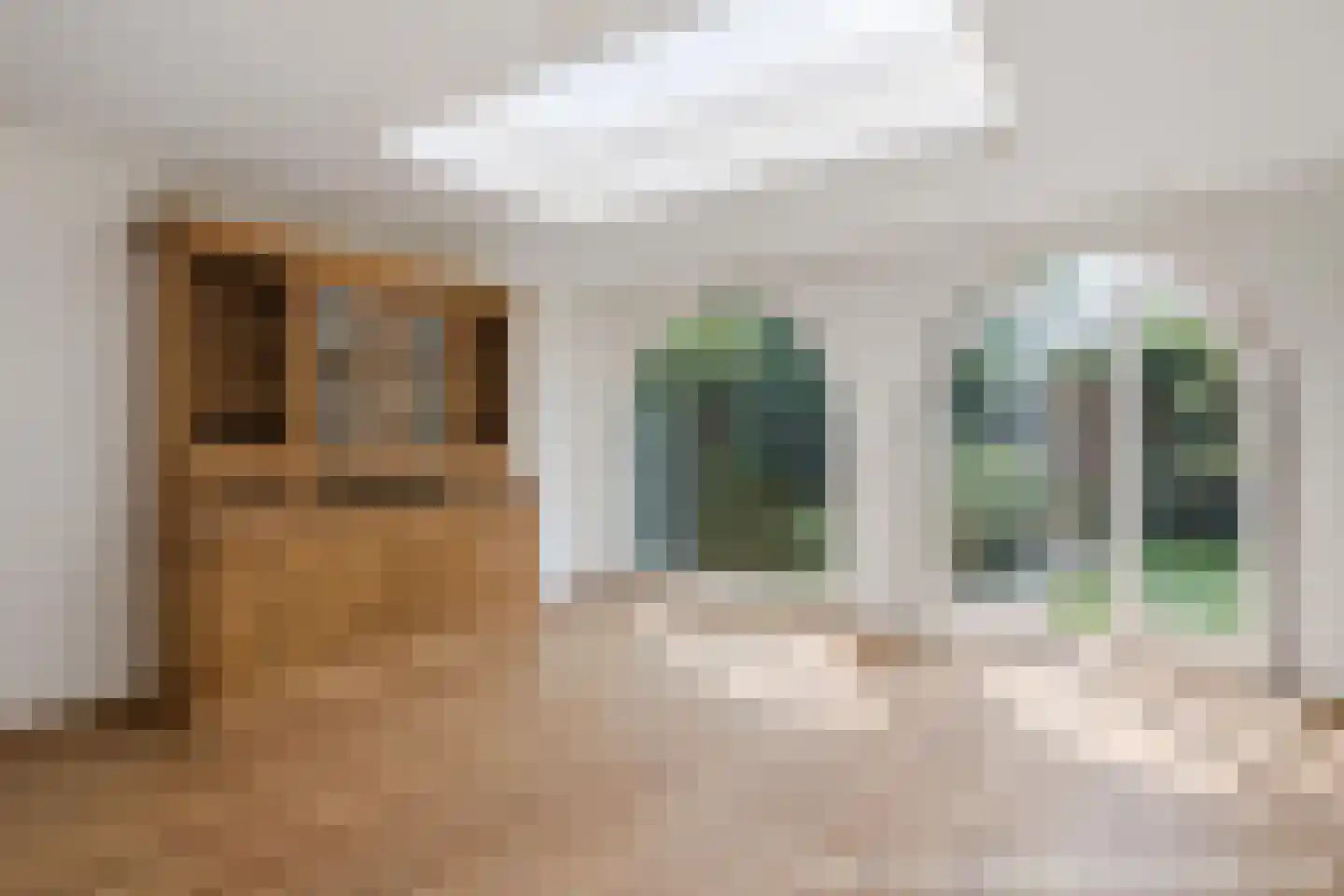 Rietven 16 Veghel thumbnail 31