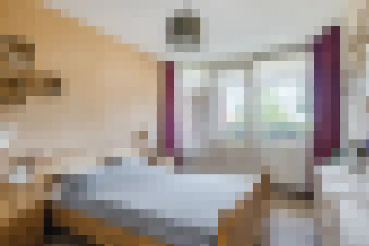 Rietven 16 Veghel thumbnail 35