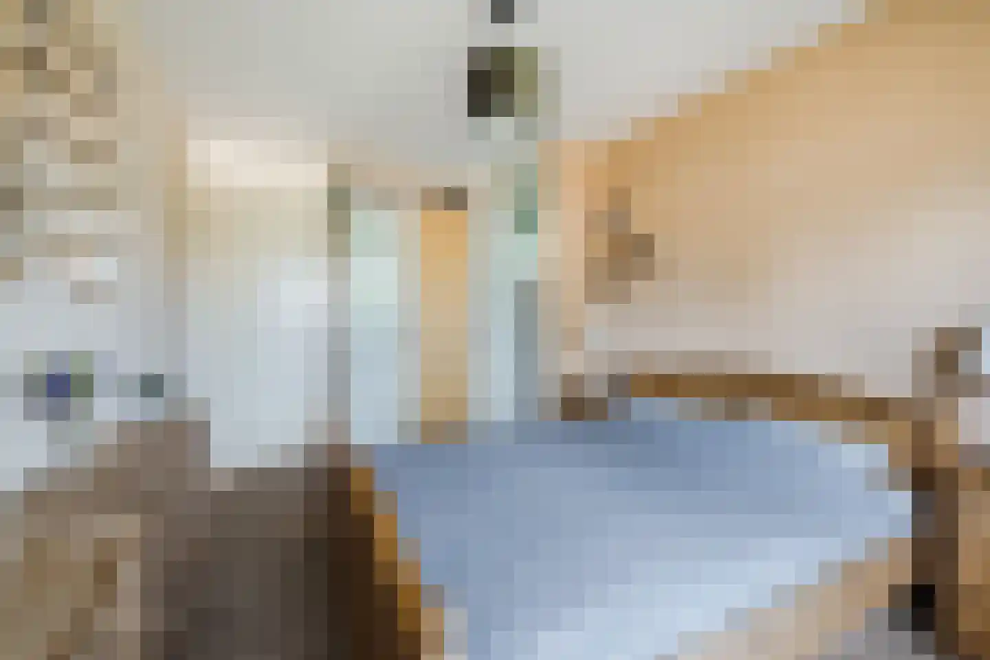 Rietven 16 Veghel thumbnail 37