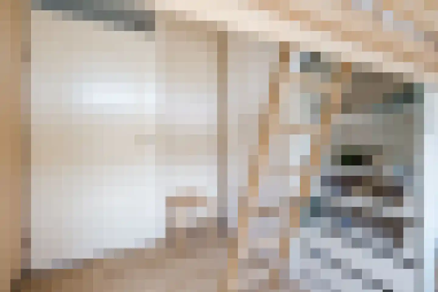 Rietven 16 Veghel thumbnail 40