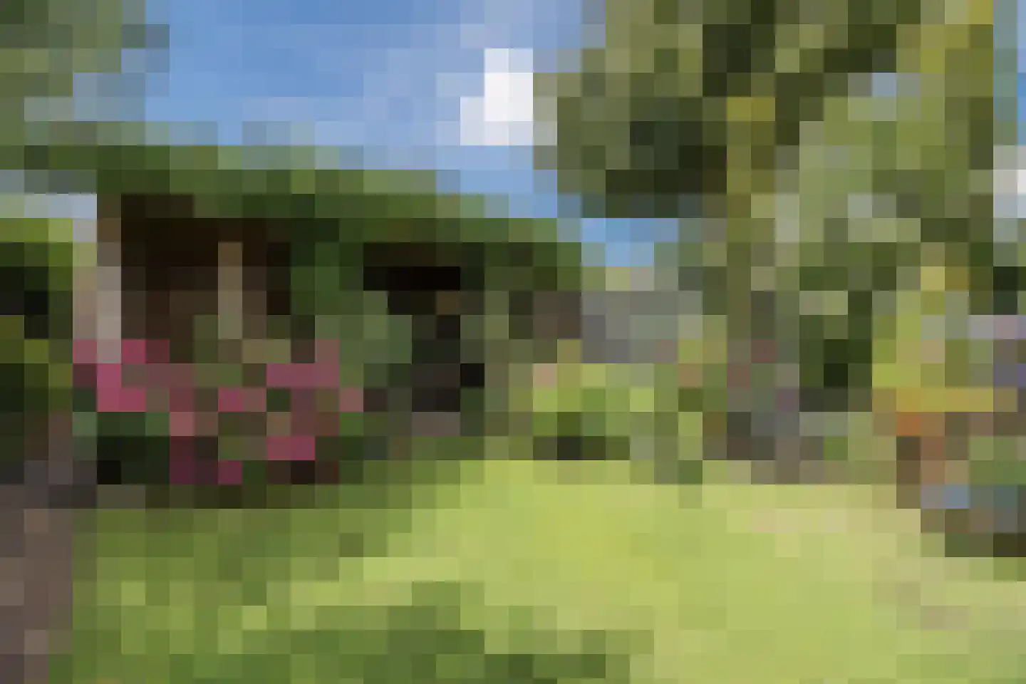 Rietven 16 Veghel thumbnail 51
