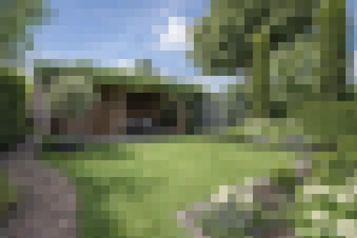 Rietven 16 Veghel thumbnail 52