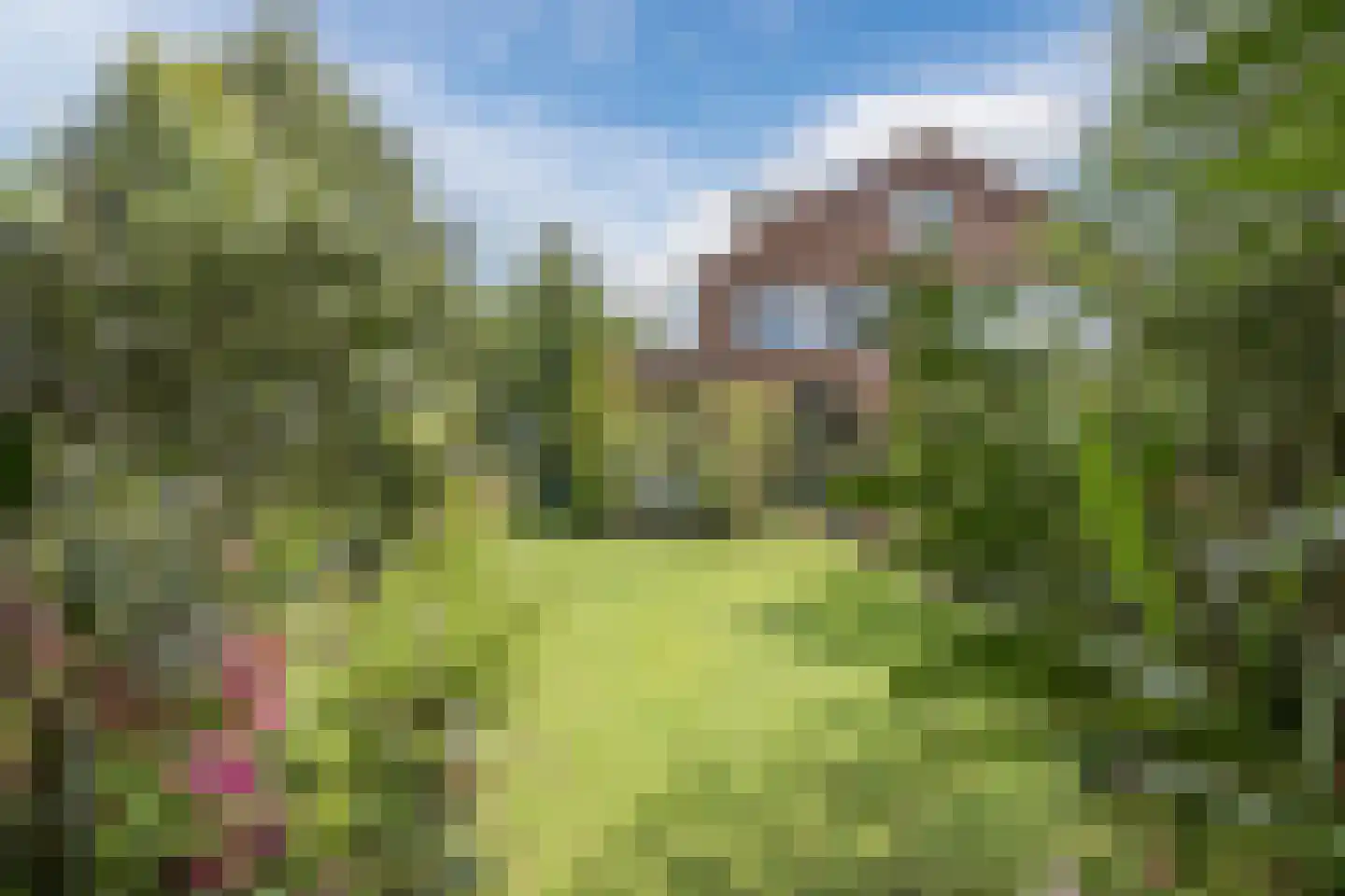 Rietven 16 Veghel thumbnail 53
