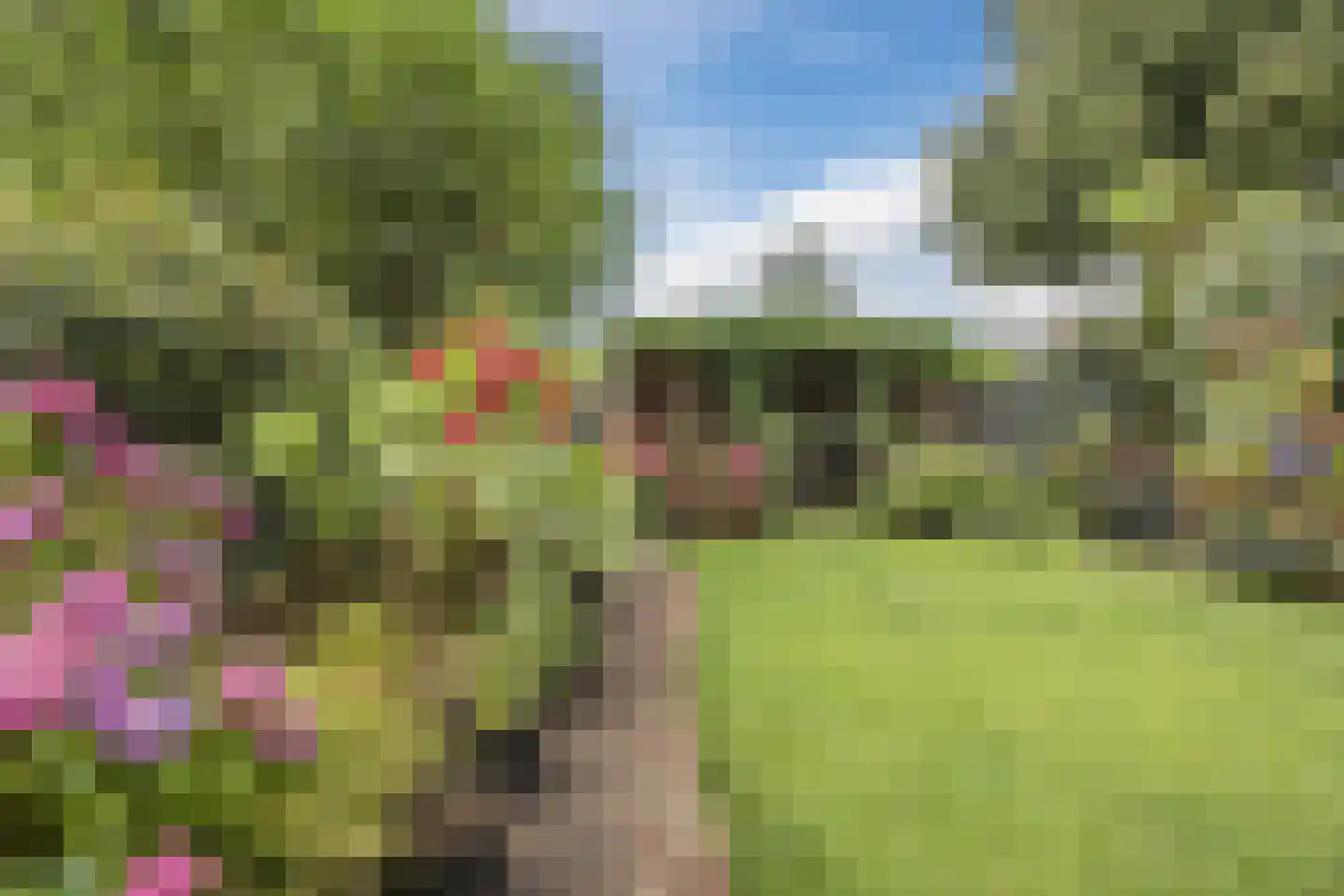 Rietven 16 Veghel thumbnail 55