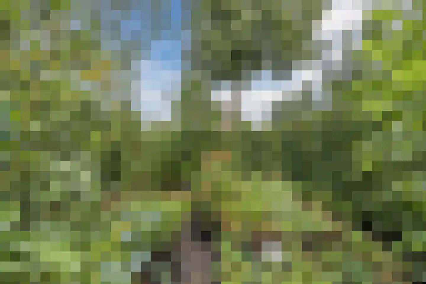 Rietven 16 Veghel thumbnail 56