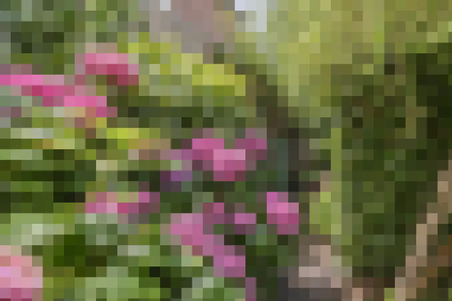 Rietven 16 Veghel thumbnail 57
