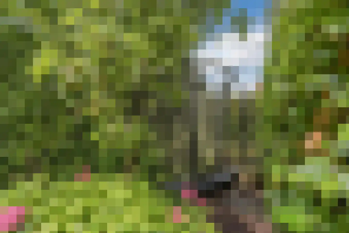 Rietven 16 Veghel thumbnail 58