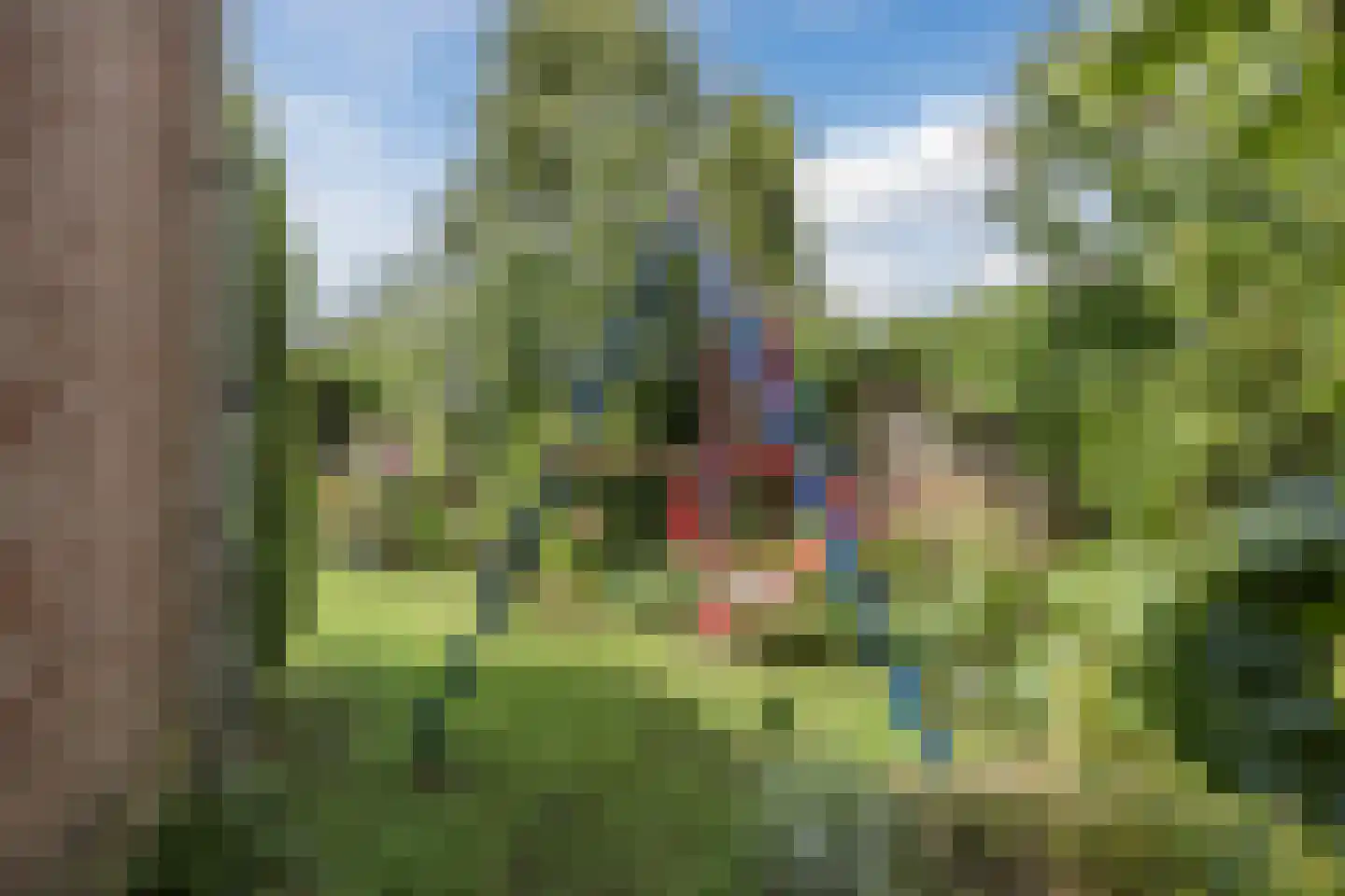 Rietven 16 Veghel thumbnail 59