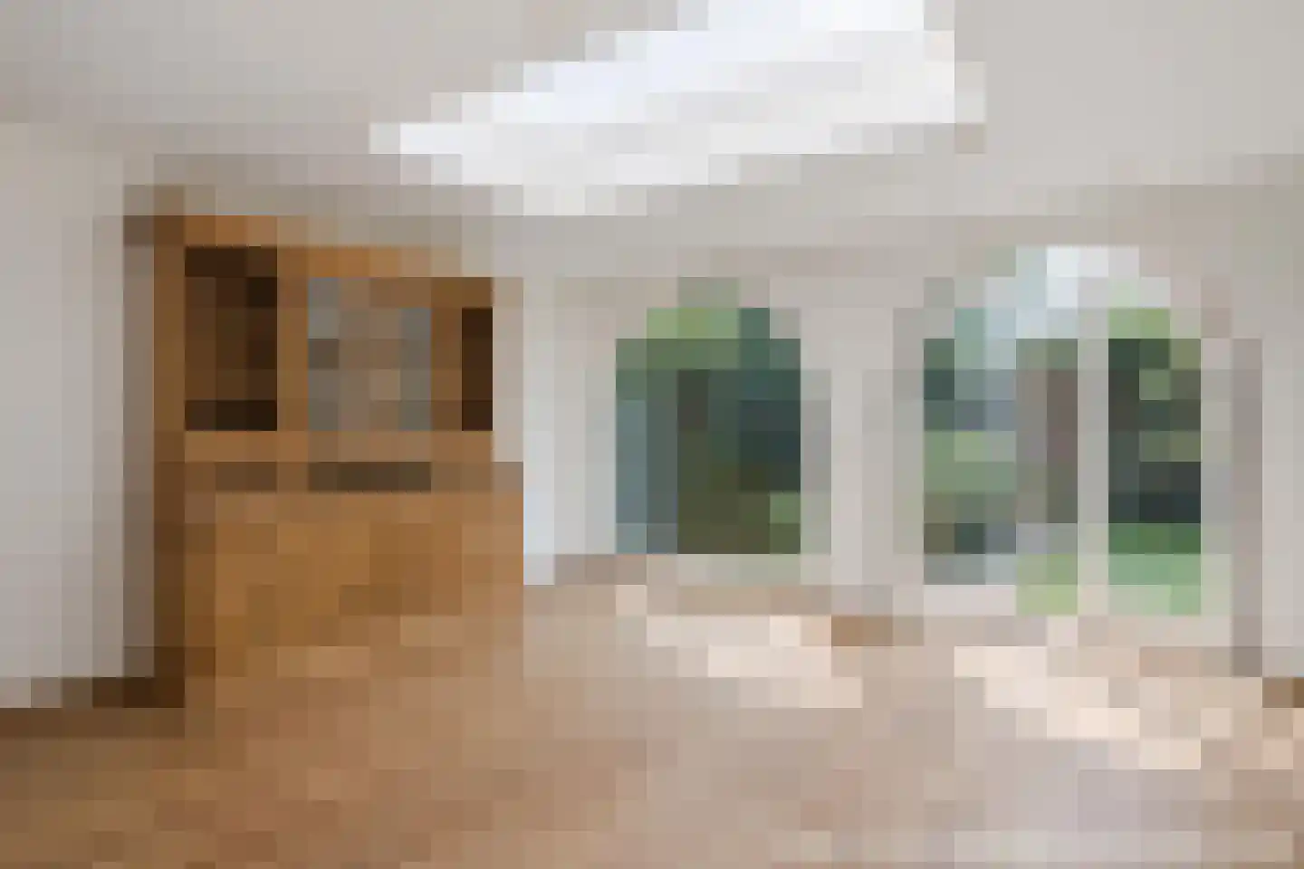 Rietven 16 Veghel thumbnail 6