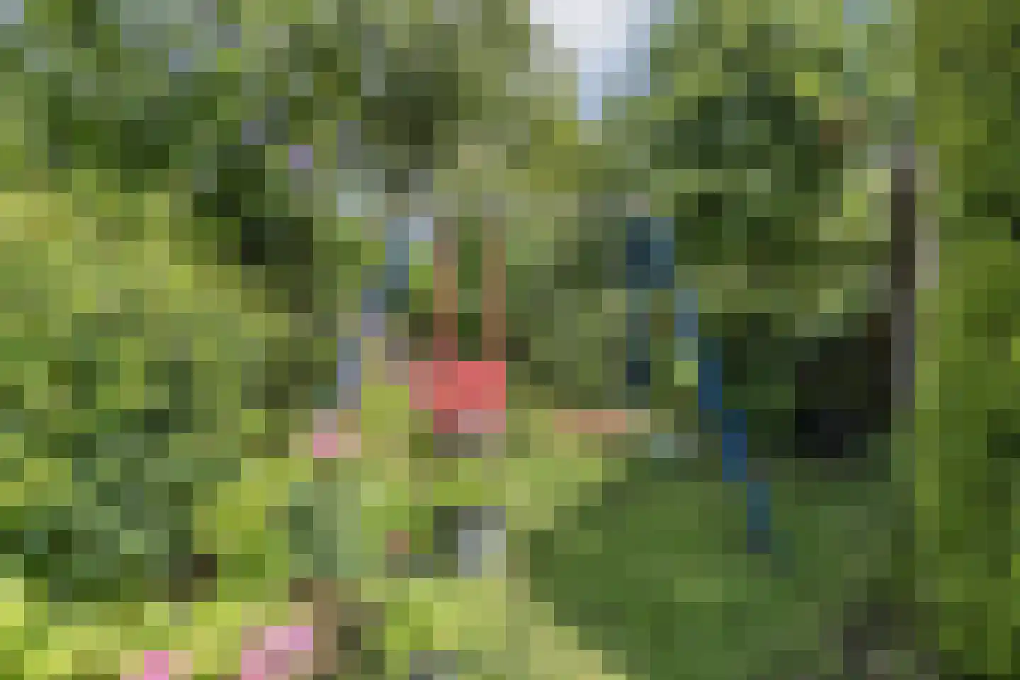 Rietven 16 Veghel thumbnail 60