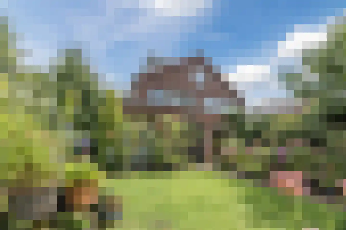 Rietven 16 Veghel thumbnail 62