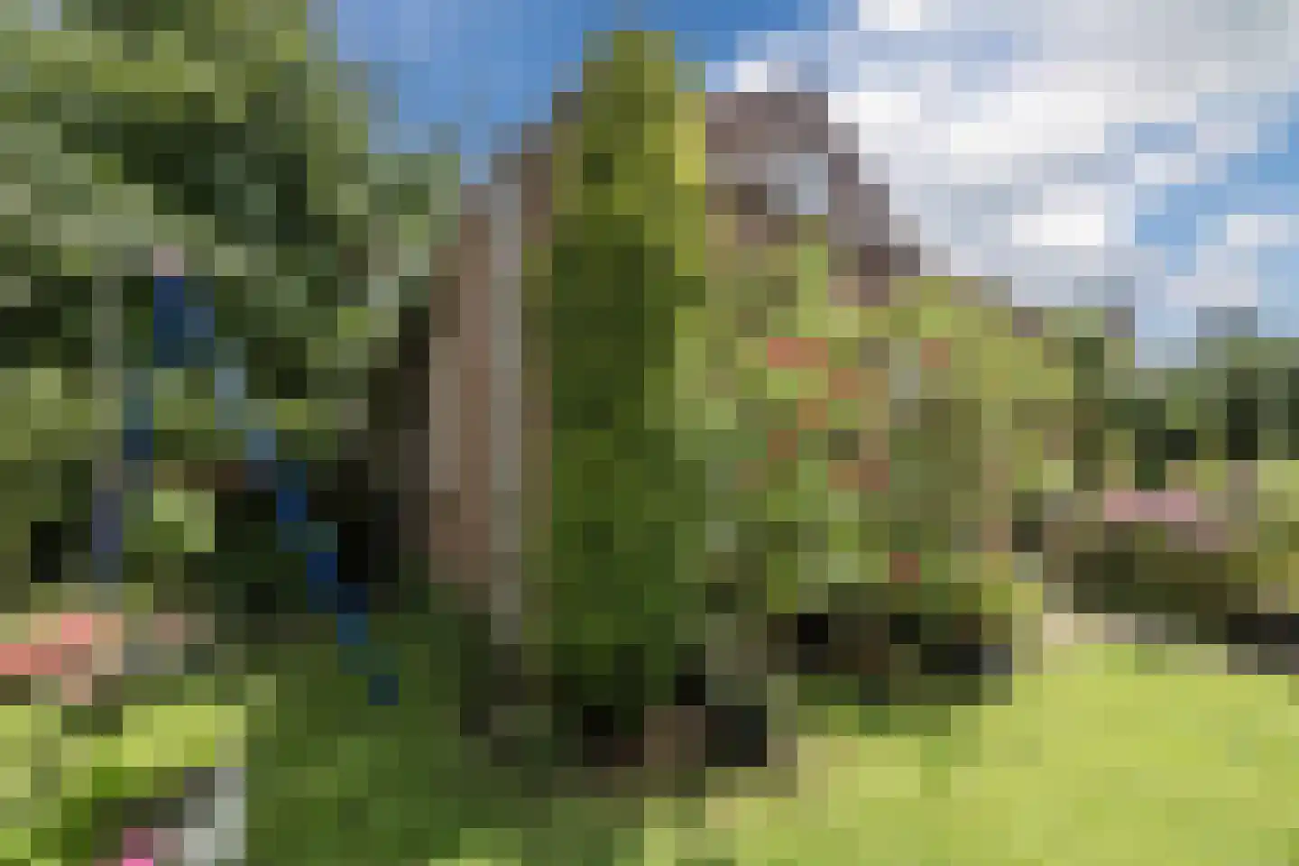 Rietven 16 Veghel thumbnail 63