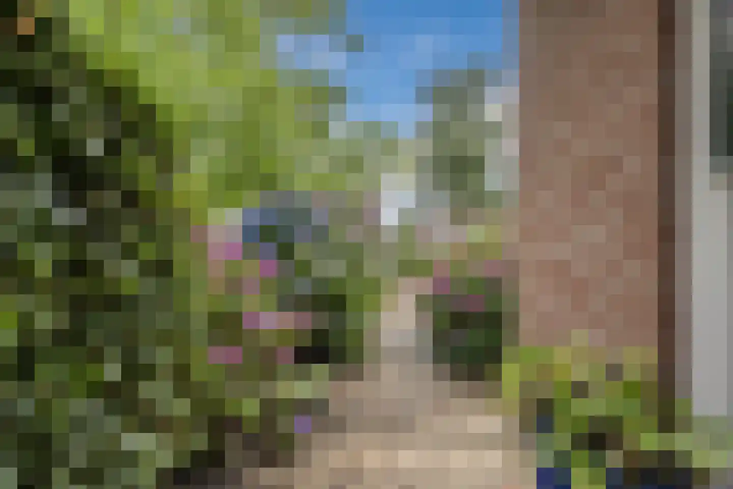 Rietven 16 Veghel thumbnail 64